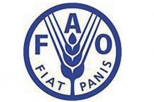 Nafasi ya kazi :- Environment and Climate Change Specialist at FAO October 2026
